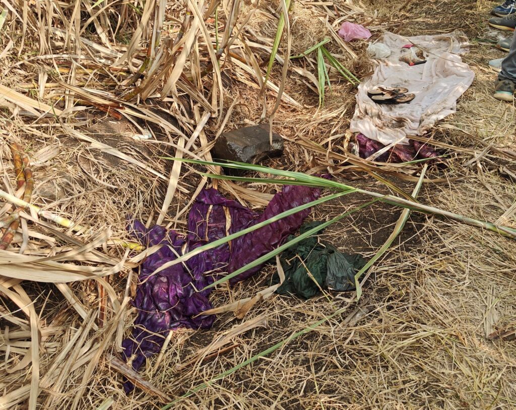 फलटण येथील विडणी येथे अंधश्रद्धेतून नरबळी ? सडलेल्या अवस्थेत आढळला महिलेचा मृतदेह