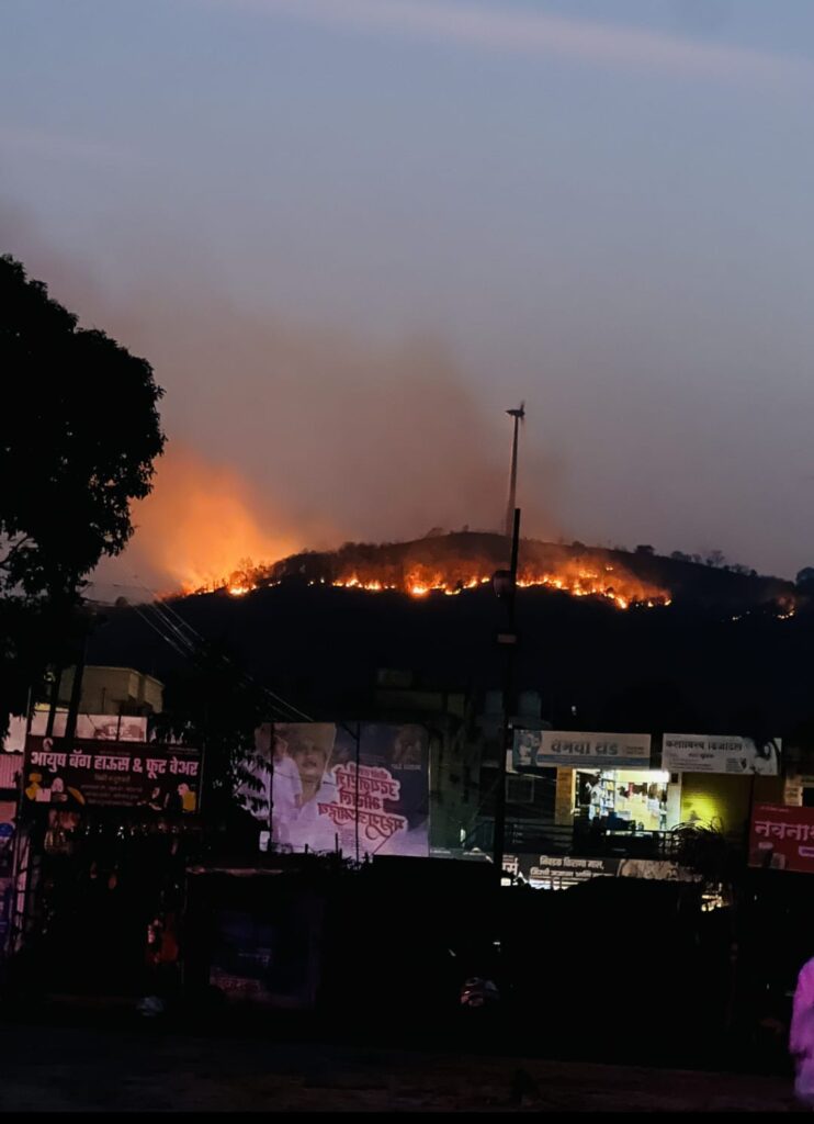ढेबेवाडी परिसरात वणव्याची मालिका सुरुच