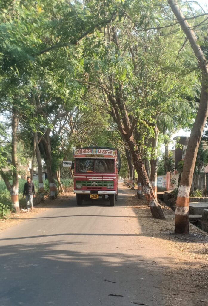 ढेबेवाडी भोसगाव रस्त्यावरील झाडे व फांद्याचा रस्ता वाहतुकीस अडथळा