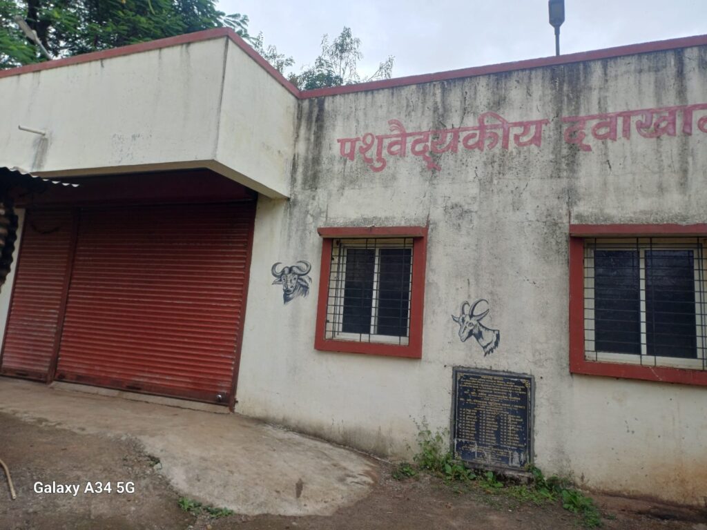 ढेबेवाडी येथे पशुवैद्यकीय अधिकाऱ्यांच्या कमतरतेमुळे शेतकरी चिंतेत, पशुधनाचे आरोग्य धोक्यात